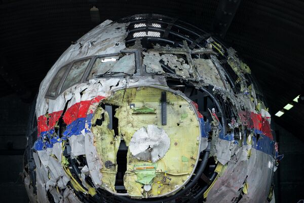 El Boeing Malasio (vuelo MH17), siniestrado sobre Ucrania en 2014 - Sputnik Mundo