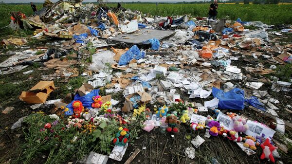 El vuelo MH17 en Ucrania que causó 298 muertos en julio de 2014 - Sputnik Mundo