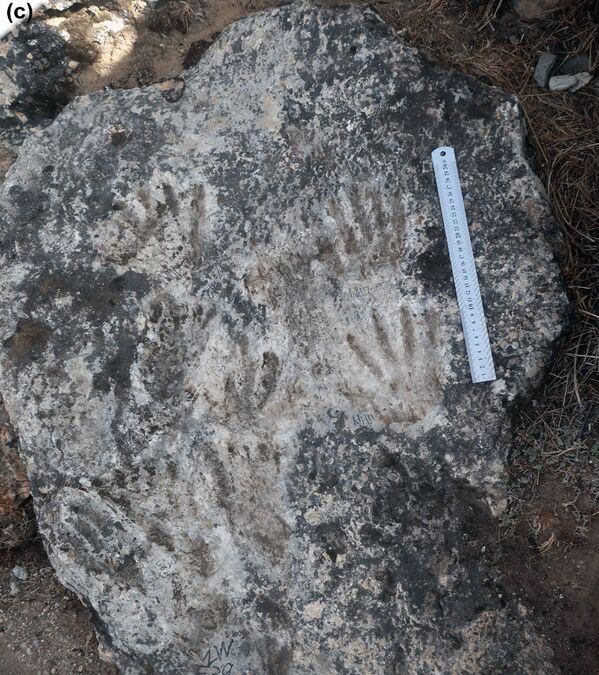 Los menores habrían podido tener alrededor de siete y 12 años, respectivamente. Estas huellas tienen aproximadamente 200.000 años, por lo cual se convierten en la obra de arte más antigua. Los menores habrían podido tener alrededor de siete y 12 años, respectivamente. Estas huellas tienen aproximadamente 200.000 años, por lo cual se convierten en la obra de arte más antigua. - Sputnik Mundo
