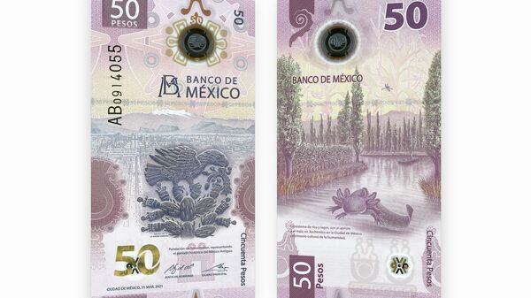 Billetes conmemorativos de México con la figura del ajolote.  - Sputnik Mundo