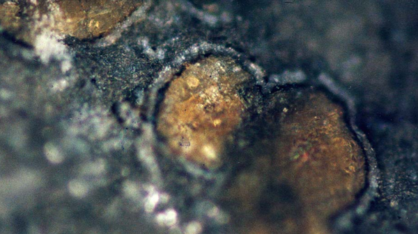 El meteorito Allan Hills 84001 (fragmento) - Sputnik Mundo