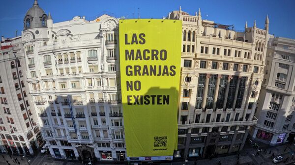 Pancarta de Greenpeace en la Gran Vía de Madrid sobre las macrogranjas - Sputnik Mundo