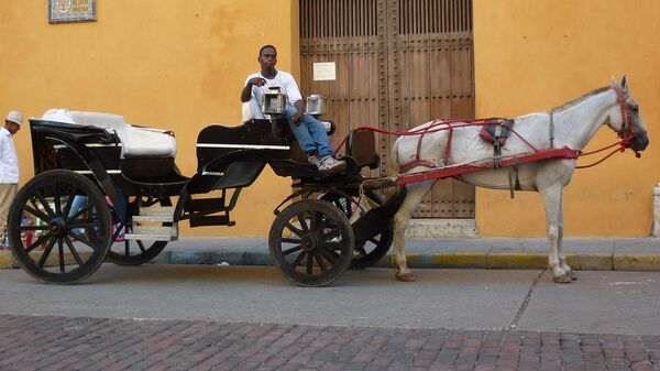 Un carro tirado por un caballo en Cartagena, Colombia - Sputnik Mundo