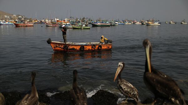 Pescadores peruanos - Sputnik Mundo