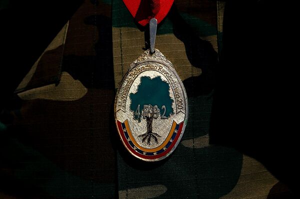 Medalla que identifica a los combatientes del 4F - Sputnik Mundo