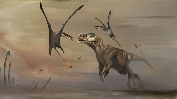 Птерозавр «Дирк сгиатанах», чья окаменелость возрастом примерно 170 миллионов лет была найдена на шотландском острове Скай - Sputnik Mundo