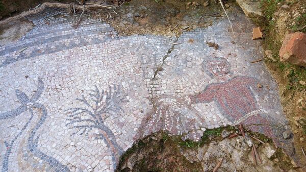 Imagen de una parte del mosaico romano hallado en un olivar de Adamuz.
 - Sputnik Mundo
