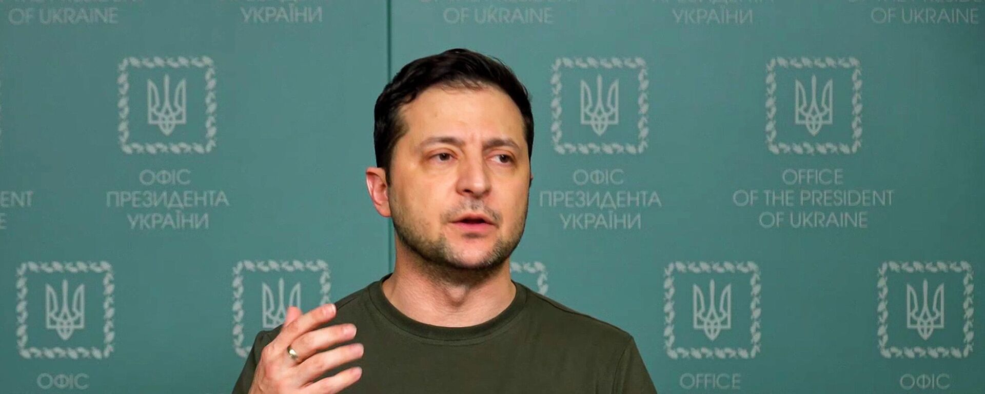Volodímir Zelenski, el presidente de Ucrania Volodímir Zelenski, el presidente de Ucrania - Sputnik Mundo, 1920, 01.06.2022