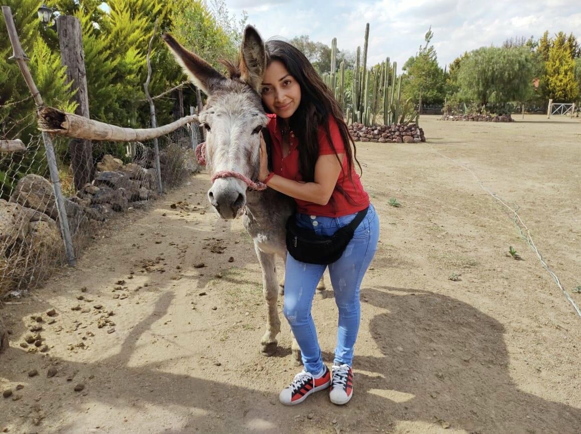 Visitantes en compañía de los burros. Visitantes en compañía de los burros. - Sputnik Mundo, 1920, 01.03.2022