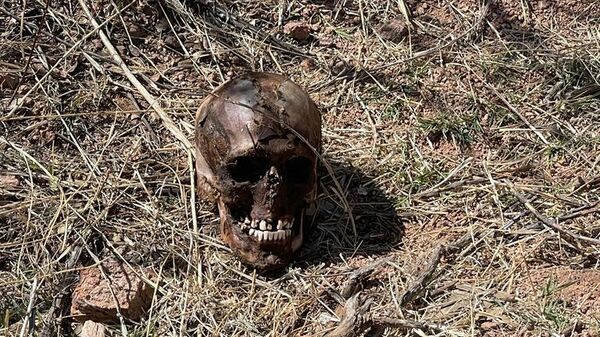 Restos humanos hallados en Sonora - Sputnik Mundo