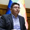 Vicecanciller de Bolivia, Freddy Mamani - Sputnik Mundo