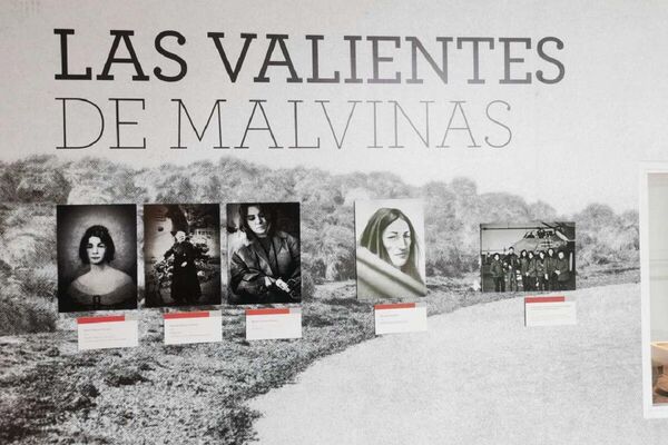 Colección del Museo Malvinas e Islas del Atlántico Sur - Sputnik Mundo