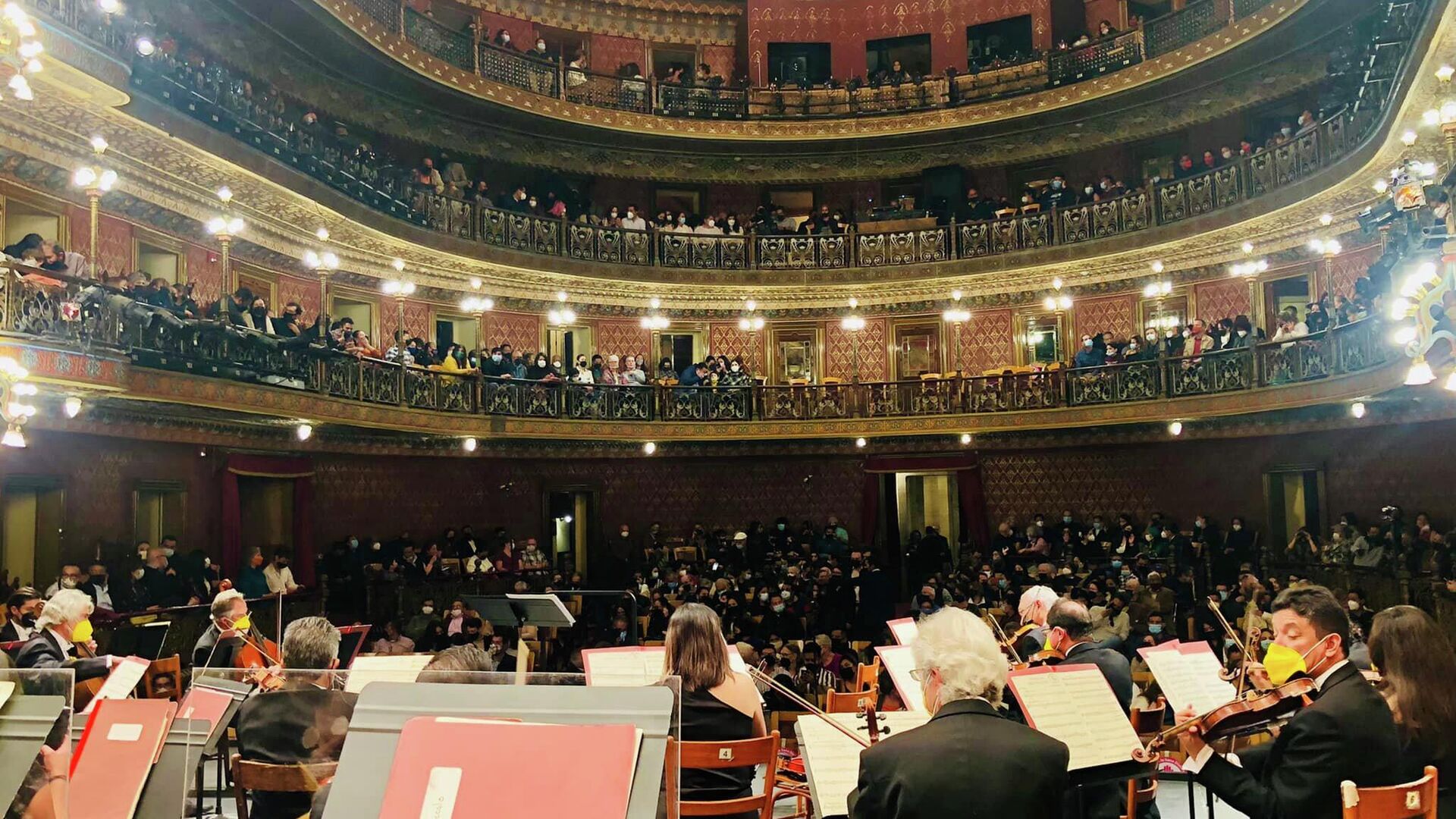 Orquesta Sinfónica de la Universidad de Guanajuato - Sputnik Mundo, 1920, 07.04.2022