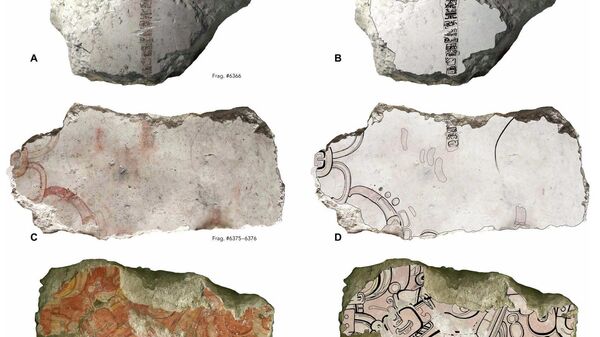 Expertos encuentran los jeroglíficos mayas de calendario más antiguos en Guatemala - Sputnik Mundo