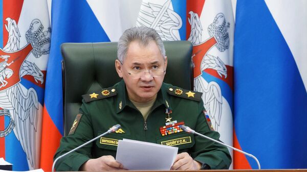 Serguéi Shoigú, el ministro de Defensa ruso - Sputnik Mundo