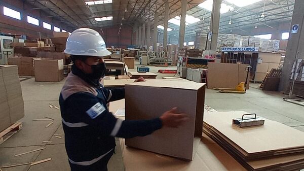 Cartonbol, empresa estatal boliviana que fabrica, láminas, cajas y muebles de cartón - Sputnik Mundo