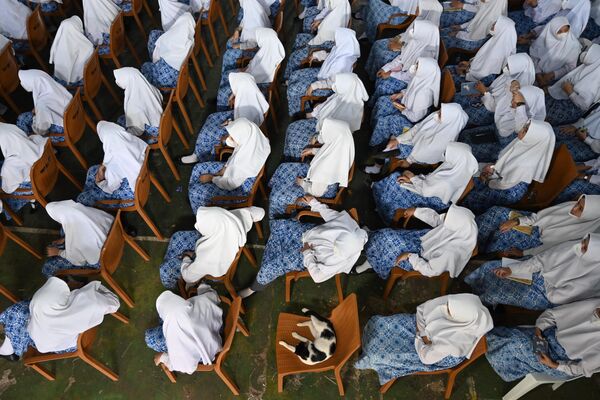 Unas estudiantes musulmanas durante la intervención de una orquesta militar, en una escuela de Yakarta (Indonesia), con motivo del 70 aniversario del reinado de Isabel II. - Sputnik Mundo