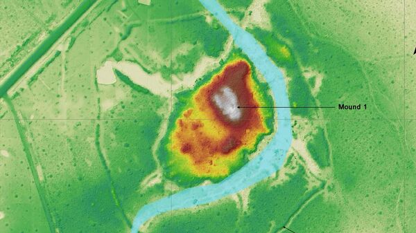 Descubren ciudades precolombinas ocultas en la Amazonía boliviana: mapas del sitio de Salvatierra - Sputnik Mundo
