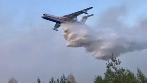 Lucha contra incendios forestales en un avión en Rusia - Sputnik Mundo