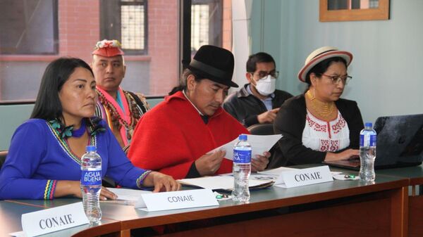 Representantes de la CONAIE en la mesa de mesa de trabajo del Gobierno de Ecuador e indígenas - Sputnik Mundo