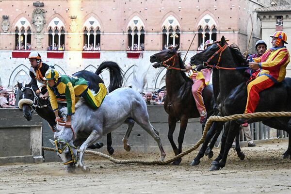 El jinete italiano Stefano Piras se cae de su caballo tras una salida falsa durante el tradicional Palio de Siena en Siena, Italia. - Sputnik Mundo