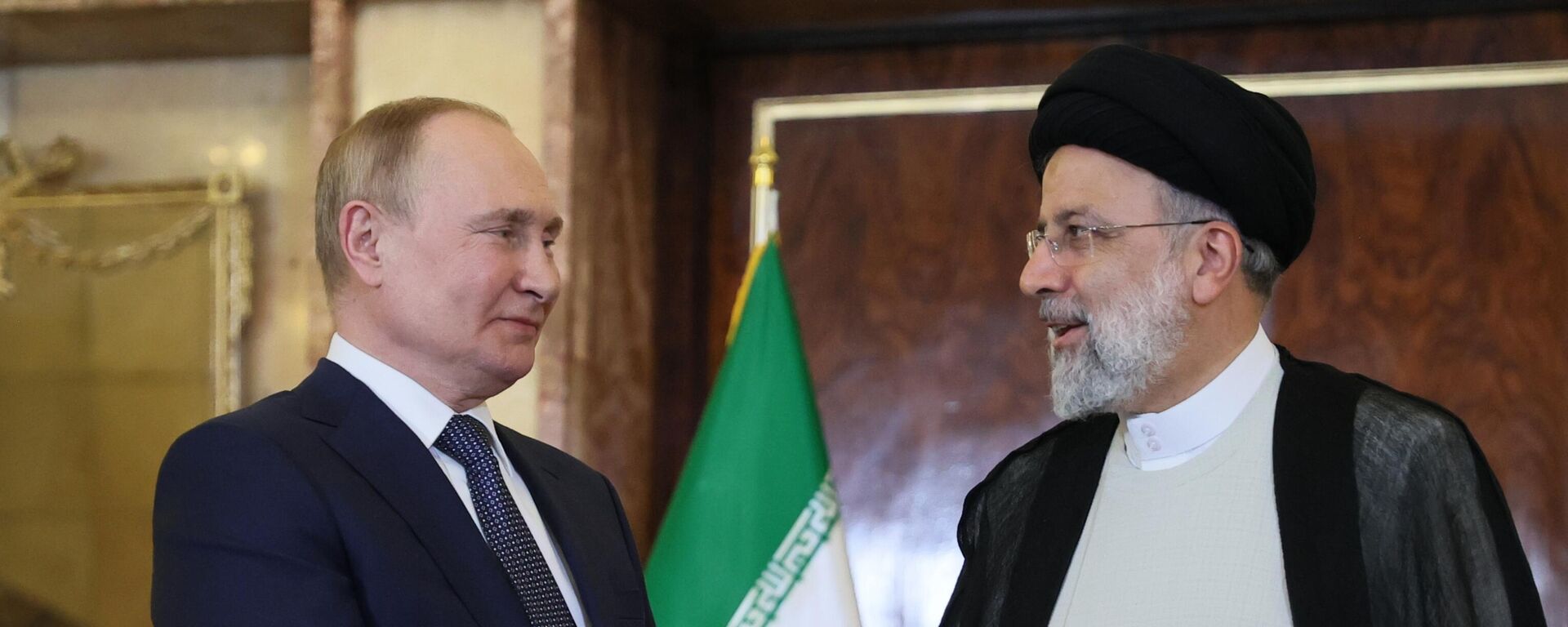 El presidente ruso, Vladímir Putin, en una reunión con el presidente iraní, Ebrahim Raisi El presidente ruso, Vladímir Putin, en una reunión con el presidente iraní, Ebrahim Raisi - Sputnik Mundo, 1920, 19.07.2022