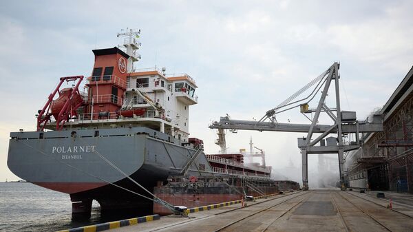 Granelero turco Polarnet en el puerto de Chernomorsk, Ucrania - Sputnik Mundo