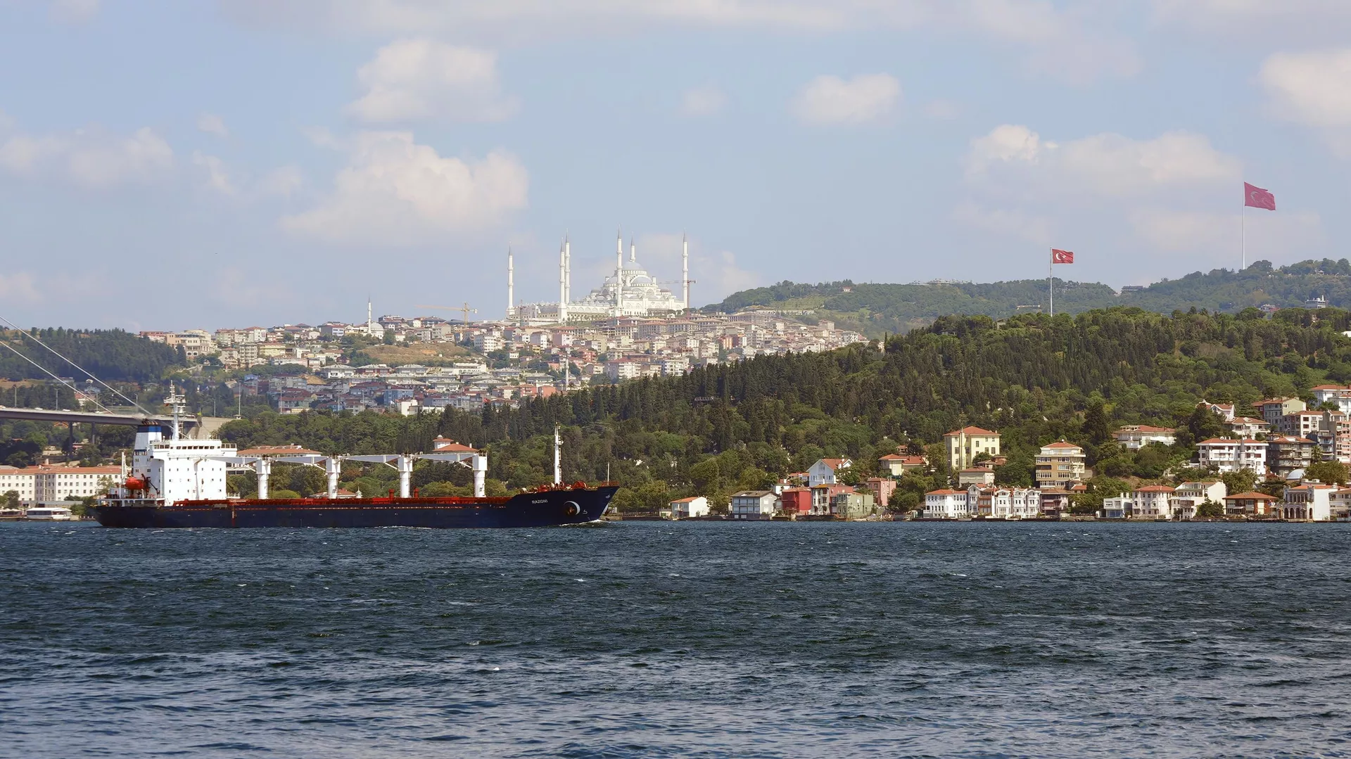 Um navio chegando com grãos ucranianos em Istambul (arquivo) - Sputnik World, 1920, 03.03.2023