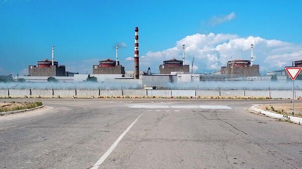 La central nuclear de Zaporiyia - Sputnik Mundo