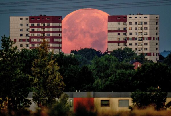 La luna llena en las afueras de Fráncfort, Alemania. - Sputnik Mundo