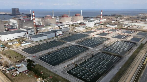  La central nuclear de Zaporiyia - Sputnik Mundo