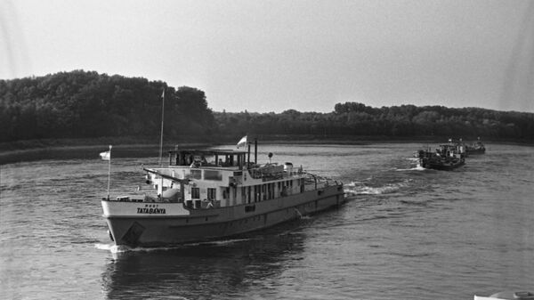 El río Danubio es uno de los más importantes de Europa. - Sputnik Mundo