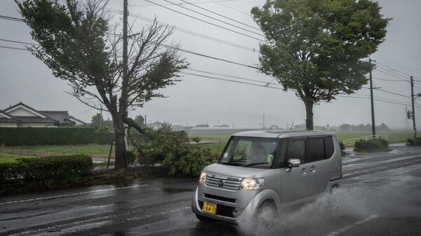 Un coche pasa junto a un árbol caído durante la aproximación del tifón Nanmadol en Izumi, prefectura de Kagoshima, Japón - Sputnik Mundo