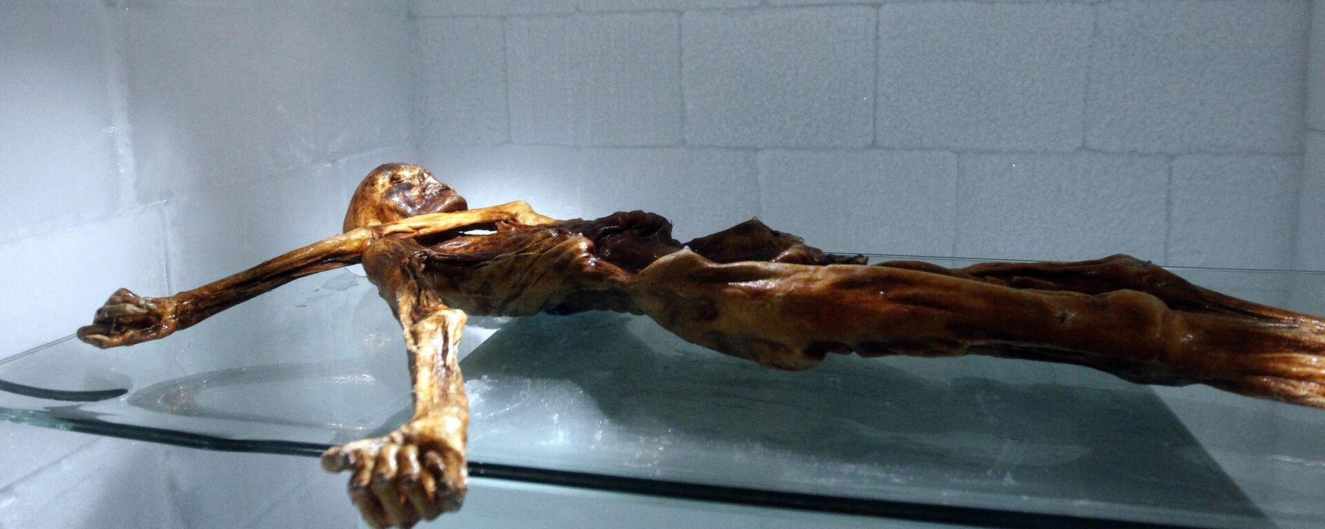 Otzi, la momia de unos 5.200 años de antigüedad - Sputnik Mundo, 1920, 11.11.2022