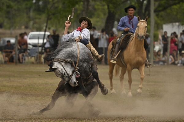 Desde 1939 se celebra el único festival gaucho del mundo en la pequeña localidad argentina de San Antonio de Areco, situada a 150 km de Buenos Aires. - Sputnik Mundo