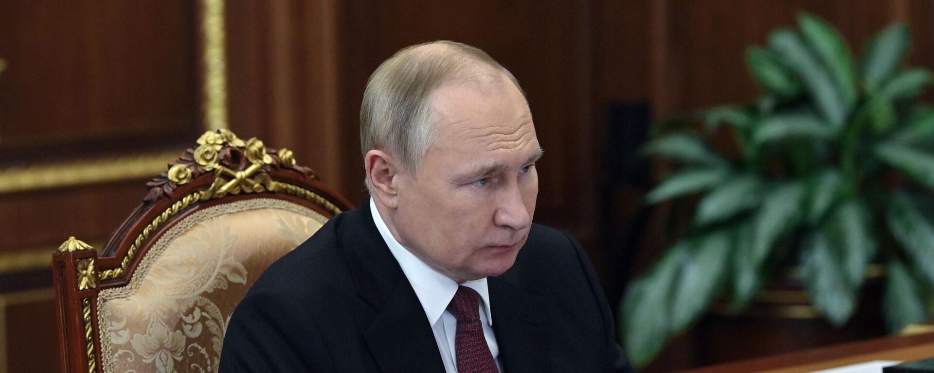 El presidente ruso, Vladímir Putin - Sputnik Mundo, 1920, 09.12.2022