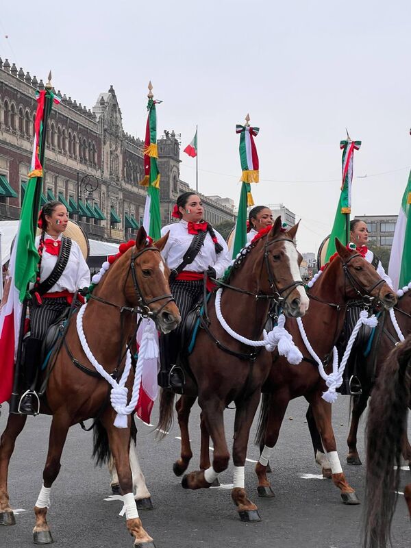 Por esta razón, en esa fecha las autoridades federales mexicanas organizan un desfile alusivo a la lucha armada, en la que participaron campesinos, fuerzas a caballo, elementos del Ejército y otros guerrilleros, en demanda de la reconfiguración de la política nacional. - Sputnik Mundo
