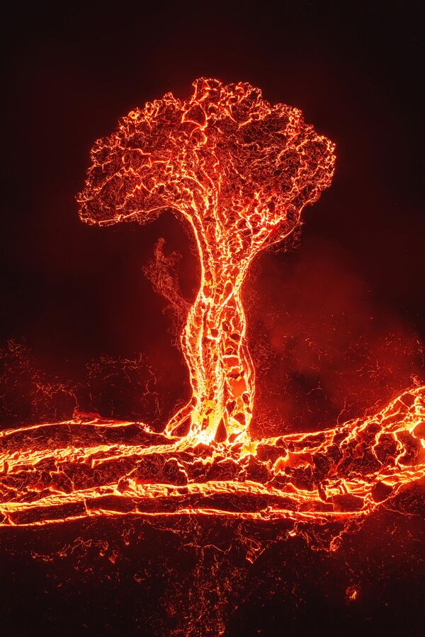El Árbol de lava del costarricense Luis Solano fue una de las 100 imágenes más expresivas del concurso. - Sputnik Mundo