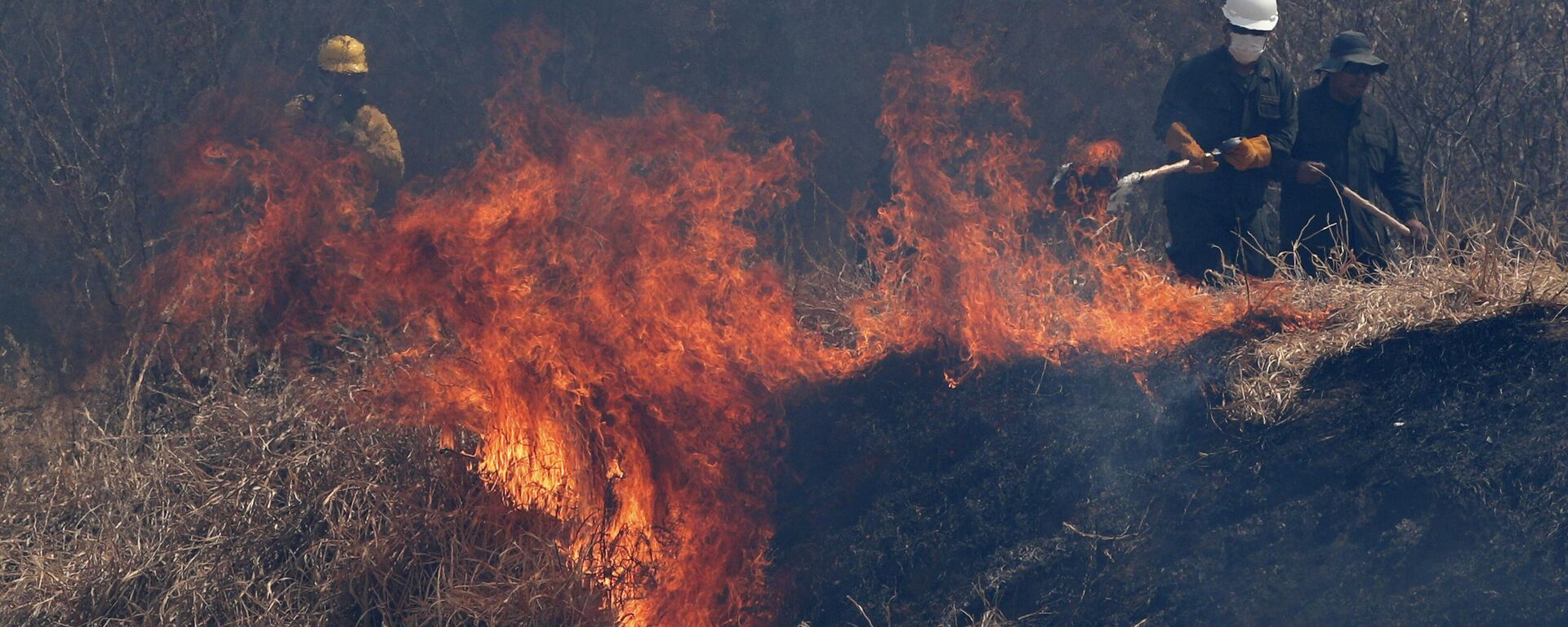 Incendios forestales en Bolivia - Sputnik Mundo, 1920, 05.12.2022