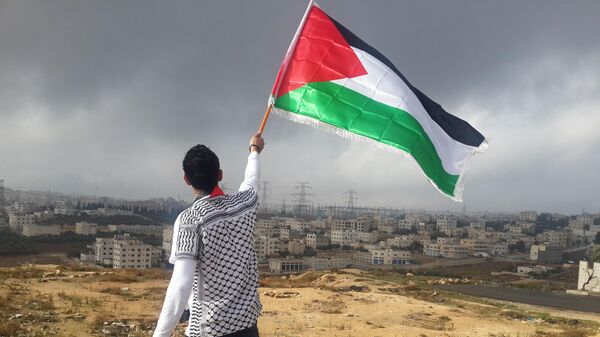 Un hombre ondeando bandera palestina (imagen referencial) - Sputnik Mundo