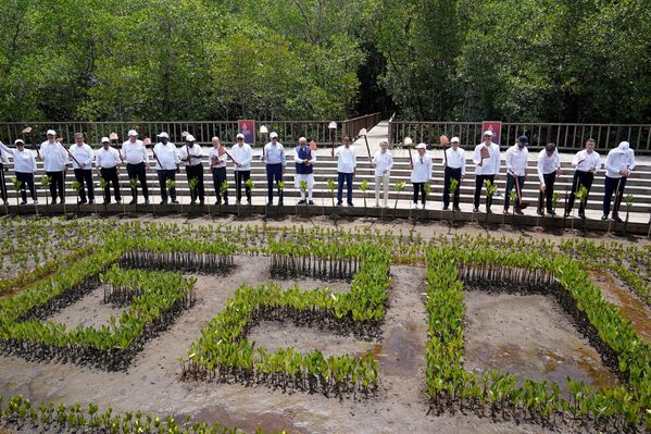 Los líderes del G20 levantan herramientas de jardinería durante un evento de siembra de árboles en el bosque Taman Hutan Raya Ngurah Rai Mangrove, en Indonesia, durante la cumbre del grupo de líderes internacionales celebrada en Bali el 16 de noviembre. - Sputnik Mundo