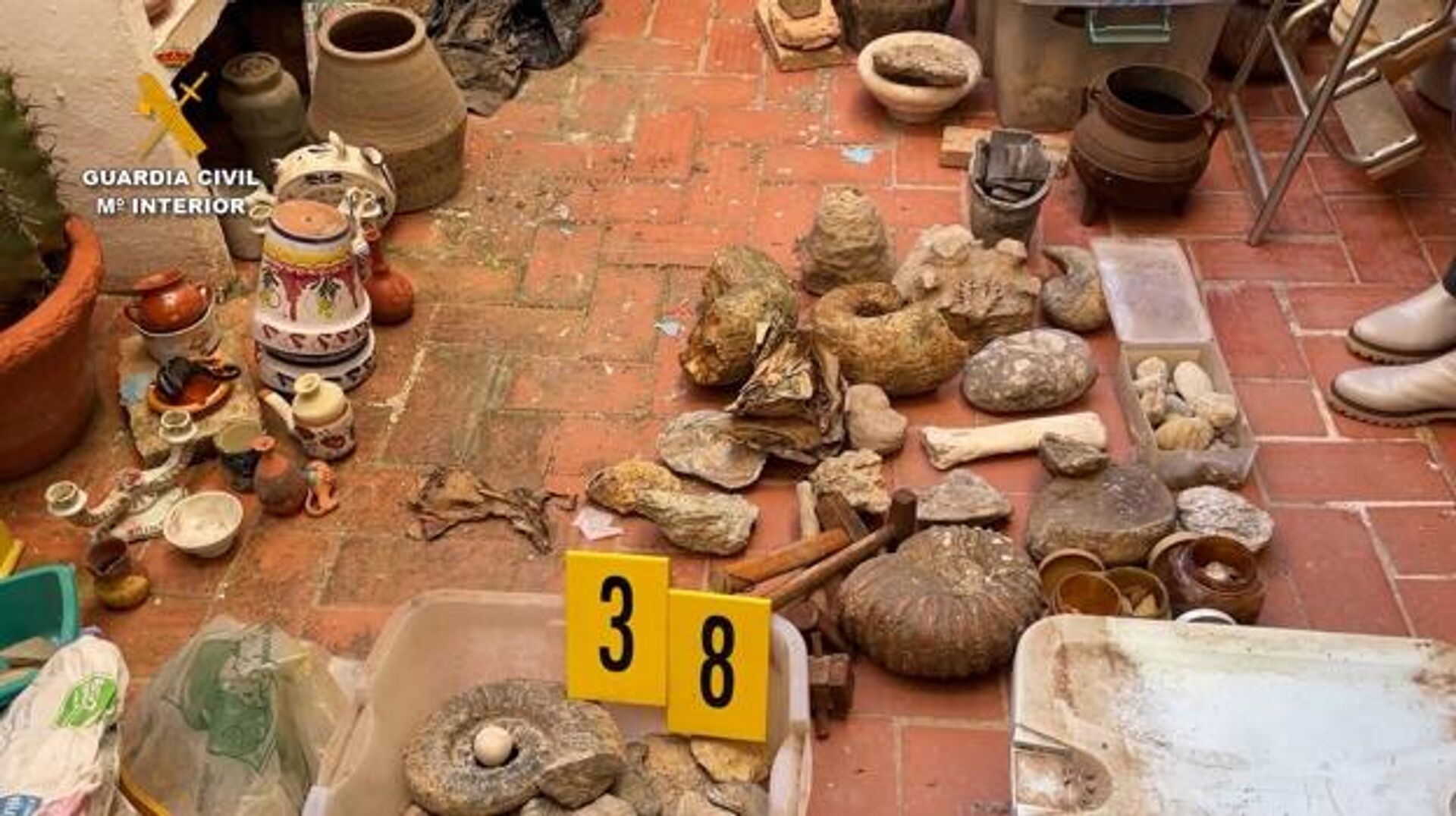 Restos óseos de una de las mayores colecciones arqueológicas ilegales de la provincia de Alicante - Sputnik Mundo, 1920, 30.12.2022