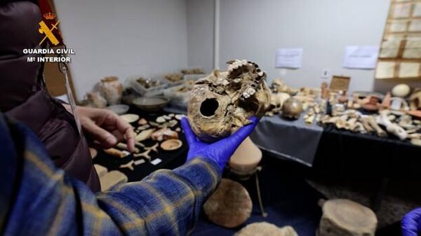 Restos óseos de una de las mayores colecciones arqueológicas ilegales de la provincia de Alicante - Sputnik Mundo