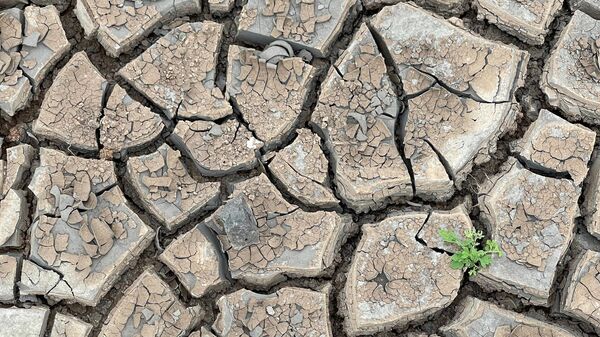 Sequía, imagen referencial  - Sputnik Mundo