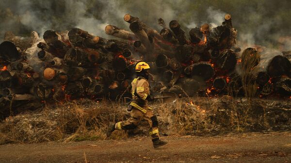 Un bombero durante los incendios forestales en Chile, el 6 de febrero del 2023 - Sputnik Mundo