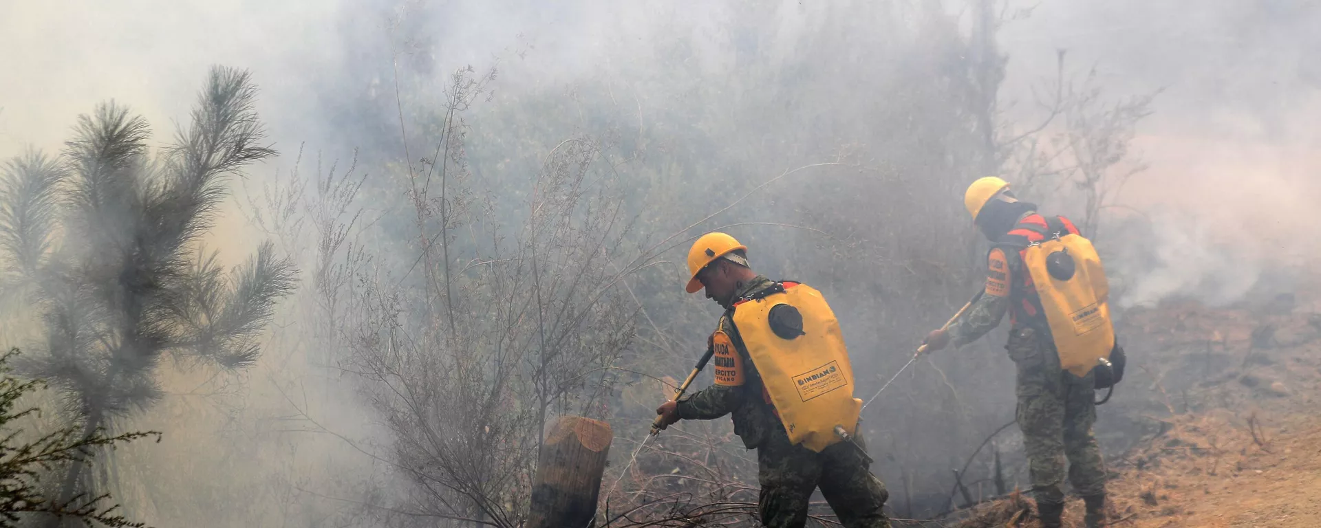 Miembros de la Unidad Militar Mexicana combaten incendios forestales en Santa Juana, Provincia de Concepción, en Chile, el 8 de febrero de 2023 - Sputnik Mundo, 1920, 13.02.2023