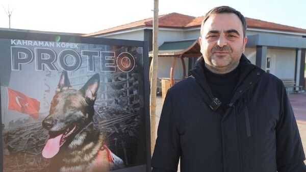 Centro de rehabilitación de animales callejeros Proteo, en Basiskele, Turquía  - Sputnik Mundo
