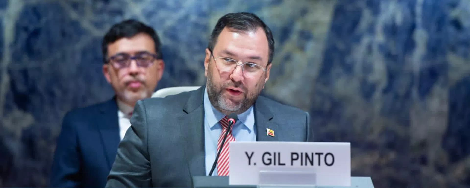 El canciller de Venezuela, Yván Gil, en el Consejo de Derechos Humanos de la ONU El canciller de Venezuela, Yván Gil, en el Consejo de Derechos Humanos de la ONU - Sputnik Mundo, 1920, 04.07.2023