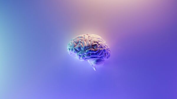 Representación de un cerebro (Imagen referencial) - Sputnik Mundo