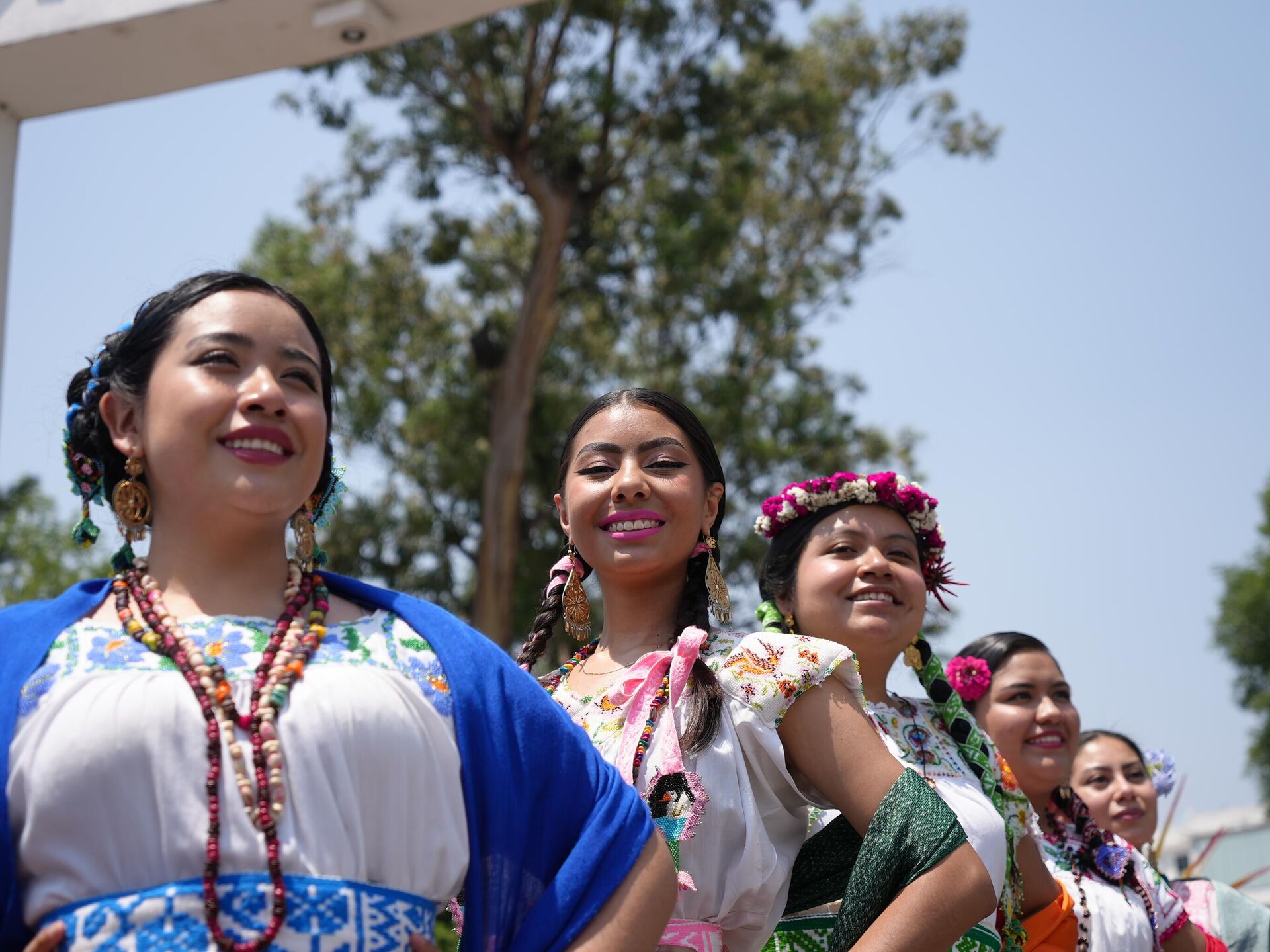 Belleza urbana mexicana: New Era celebra las jacarandas en su